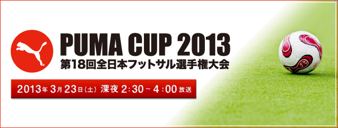 PUMA CUP2013　全日本フットサル選手権大会 決勝