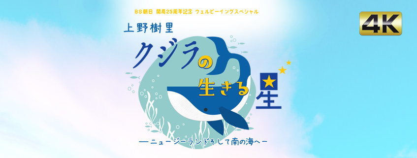 「BS朝日開局２５周年記念 ウェルビーイングスペシャル　上野樹里 クジラの生きる星 －ニュージーランド そして南の海へ－」ホームページ公開しました
