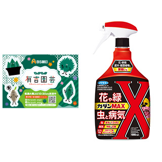 夢が咲く 有吉園芸～Road to start a garden shop～