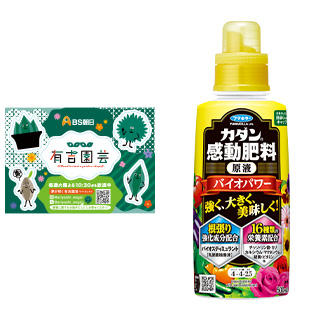 夢が咲く 有吉園芸～Road to start a garden shop～