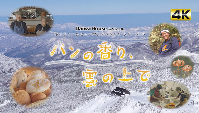 Daiwa House スペシャル　ネイチャー＆ヒューマン シリーズ15　パンの香り、雲の上で