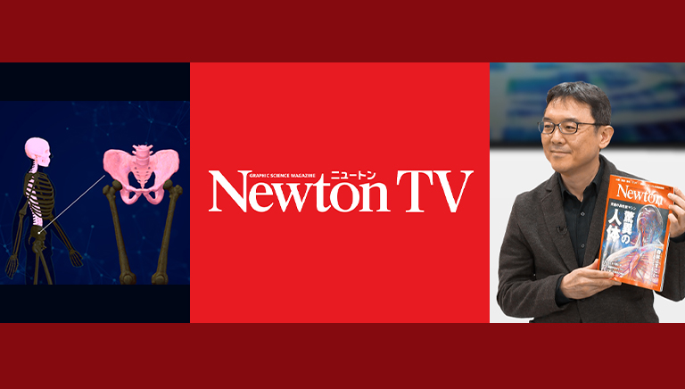 Newton TV