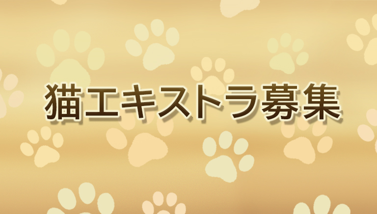 猫エキストラ募集