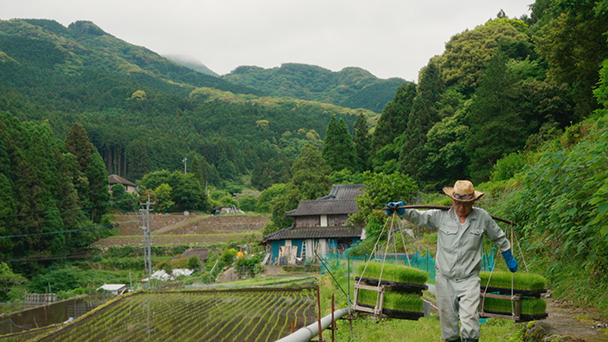 棚田の田植え