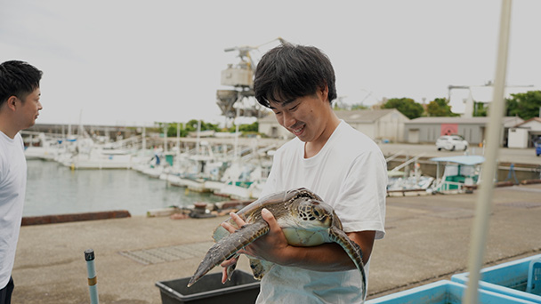 ウミガメ