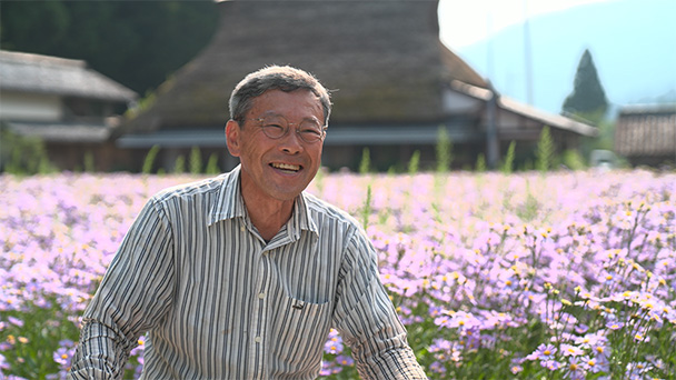 北山友禅菊