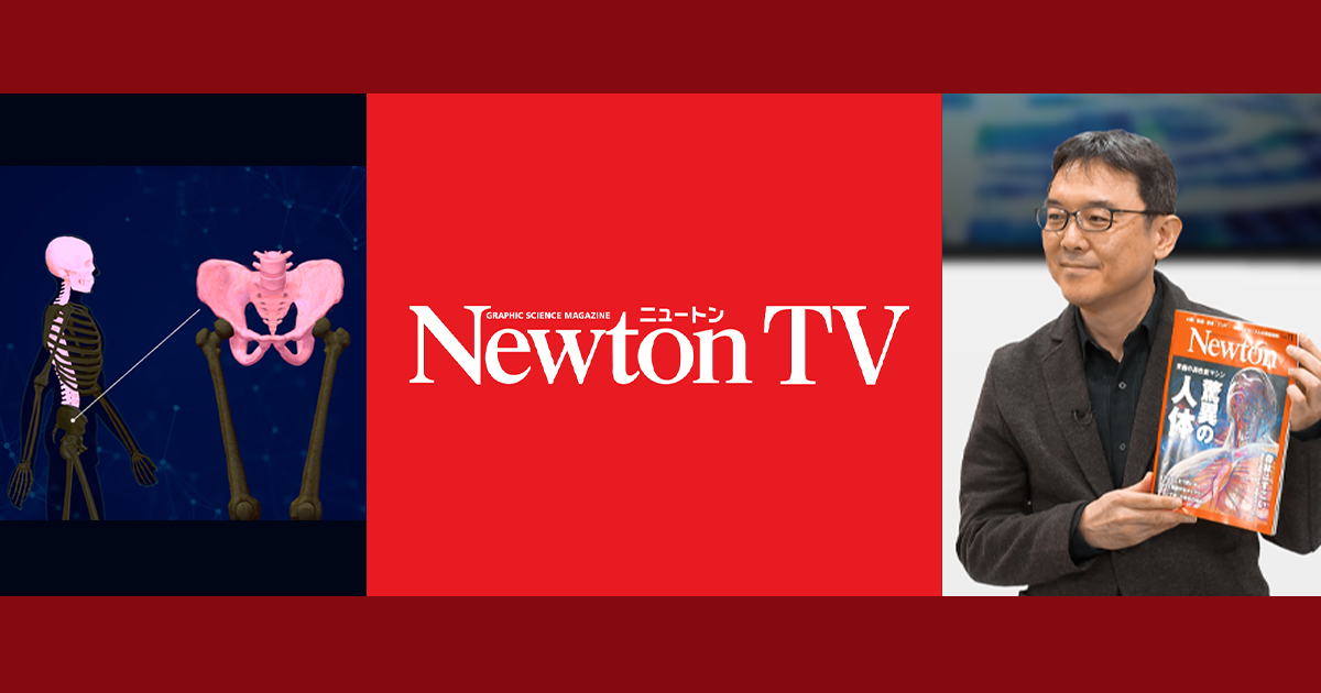 Newton TV