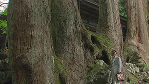 永明寺 島根県 永平寺 福井県 神護寺 京都府 五木寛之の百寺巡礼 Bs朝日