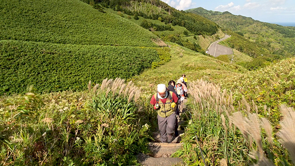 礼文島の寄港地観光ツアー