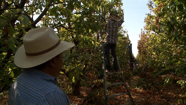 町山智浩のアメリカの今を知るTV In Association With CNN BS朝日