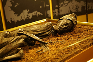 沼に沈んだ遺体 ２０００年前の殺人事件の謎を解く Wild Nature 地球大紀行 Bs朝日