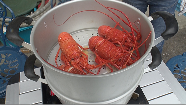 魚が食べたい！－地魚さがして3000港－