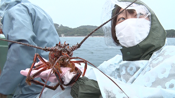 魚が食べたい！－地魚さがして3000港－