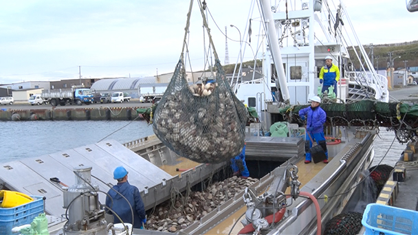 魚が食べたい！－地魚さがして3000港－