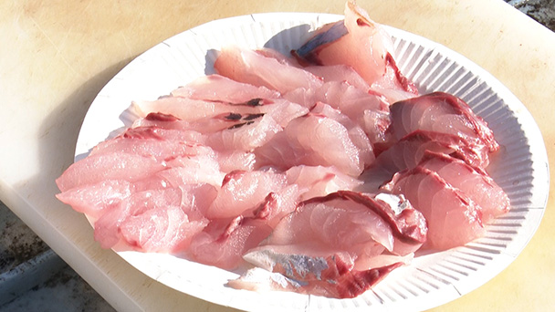 一魚一会めし 魚が食べたい 地魚さがして3000港 Bs朝日 一魚一会めし 魚が食べたい 地魚さがして3000港 Bs朝日
