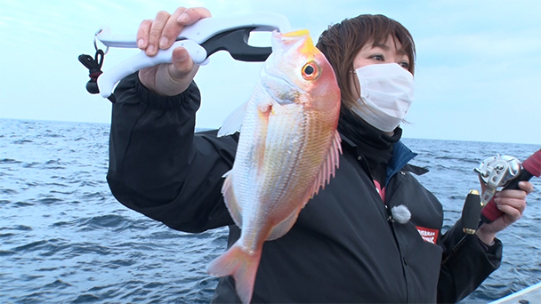 魚が食べたい！－地魚さがして3000港－