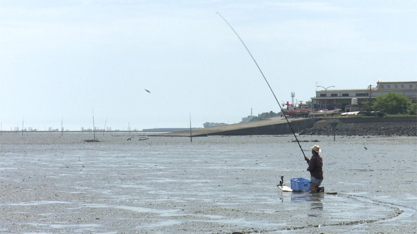 魚が食べたい！－地魚さがして3000港－