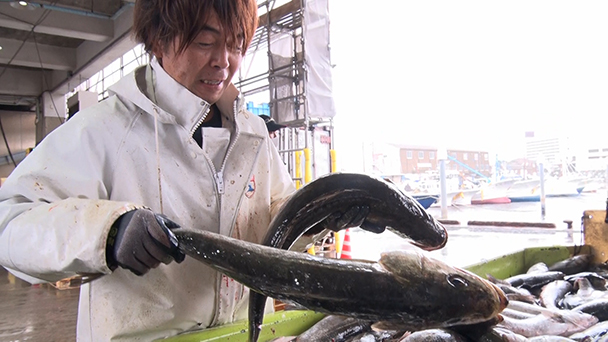 魚が食べたい！－地魚さがして3000港－