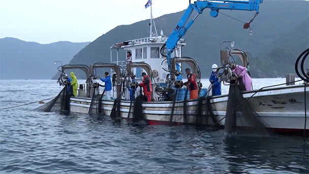 魚が食べたい！－地魚さがして3000港－