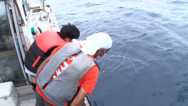 魚が食べたい！－地魚さがして3000港－