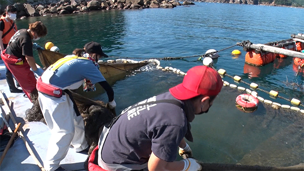 魚が食べたい！－地魚さがして3000港－