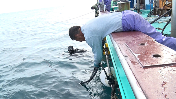 魚が食べたい！－地魚さがして3000港－