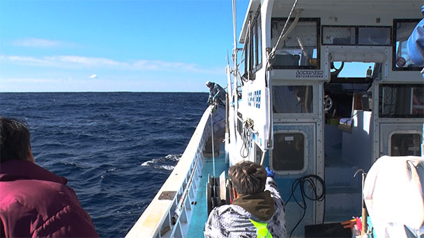 魚が食べたい！－地魚さがして3000港－