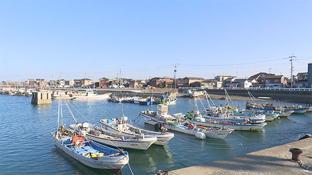 魚が食べたい！－地魚さがして3000港－