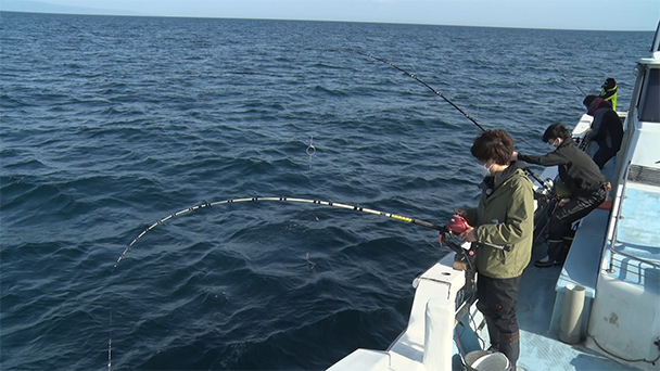 魚が食べたい！－地魚さがして3000港－