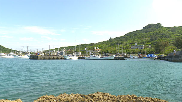 魚が食べたい！－地魚さがして3000港－