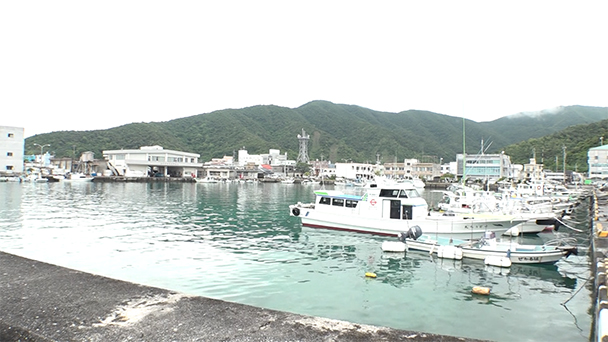 魚が食べたい！－地魚さがして3000港－