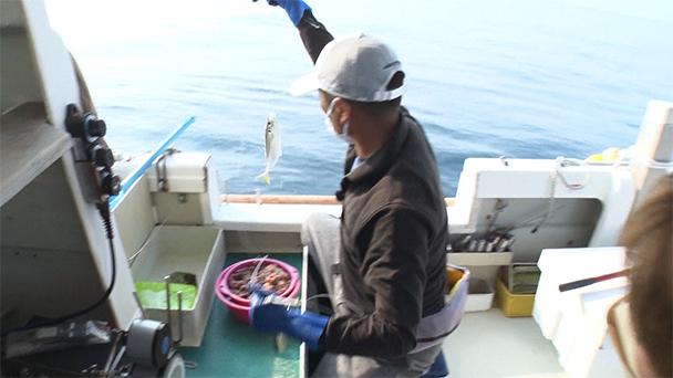 魚が食べたい！－地魚さがして3000港－