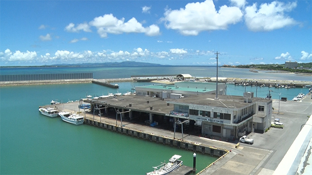 魚が食べたい！－地魚さがして3000港－