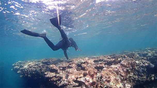 魚が食べたい！－地魚さがして3000港－