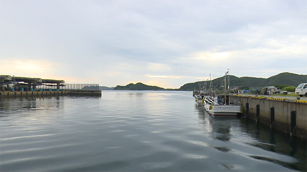 魚が食べたい！－地魚さがして3000港－