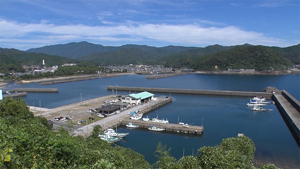 魚が食べたい！－地魚さがして3000港－