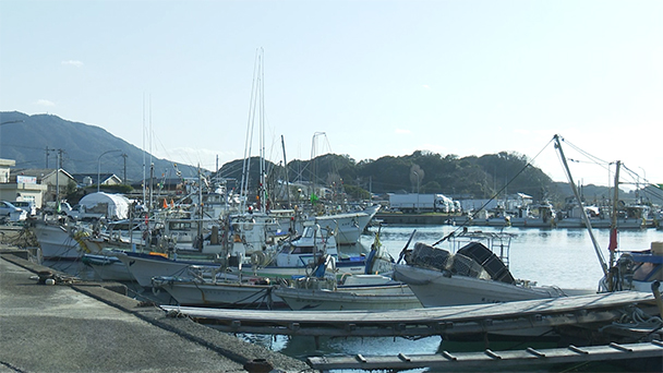 魚が食べたい！－地魚さがして3000港－