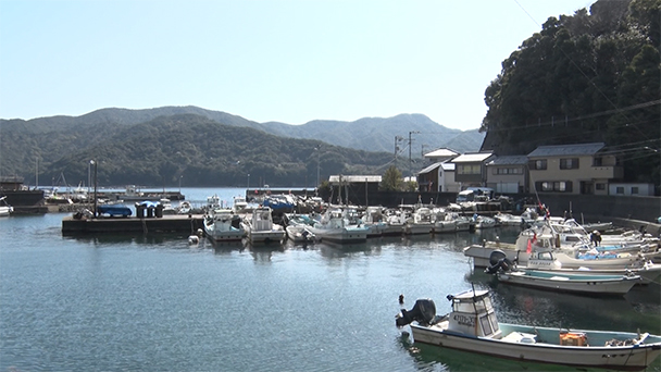 魚が食べたい！－地魚さがして3000港－