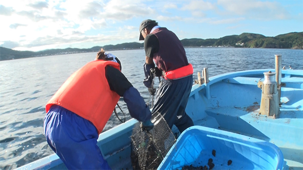 魚が食べたい！－地魚さがして3000港－