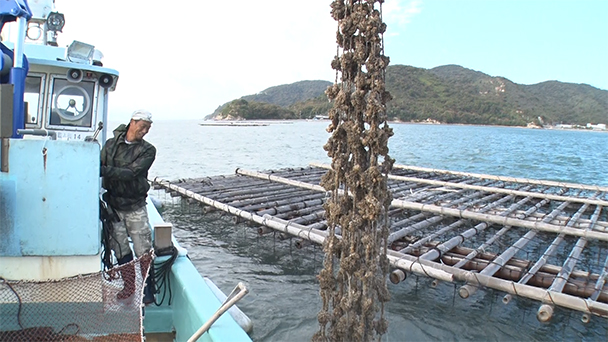 魚が食べたい！－地魚さがして3000港－