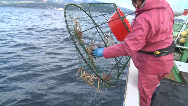 魚が食べたい！－地魚さがして3000港－