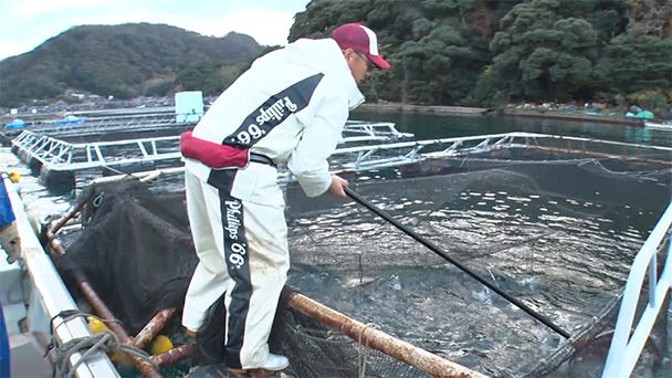 魚が食べたい！－地魚さがして3000港－