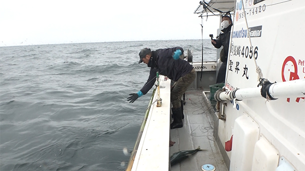 魚が食べたい！－地魚さがして3000港－