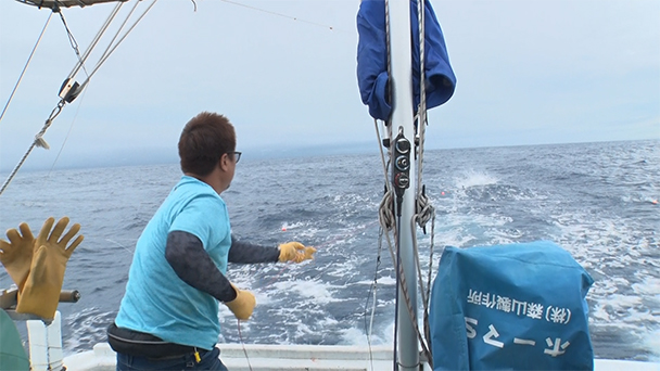 魚が食べたい！＃２２７　静岡県舞阪漁港<br>（モチガツオ、アユゴ）