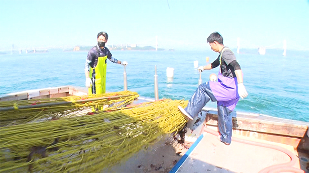 魚が食べたい！＃２２８　香川県小手島漁港<br>（トラフグ、サワラ）