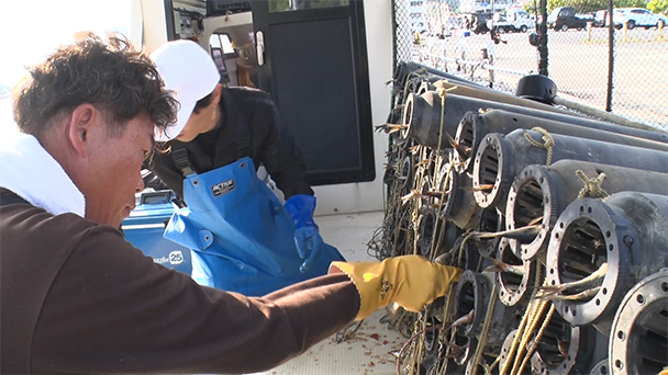 魚が食べたい！－地魚さがして3000港－