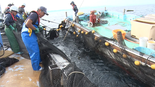 魚が食べたい！＃２３０　新潟県粟島漁港<br>（マダイ、ノドグロ）