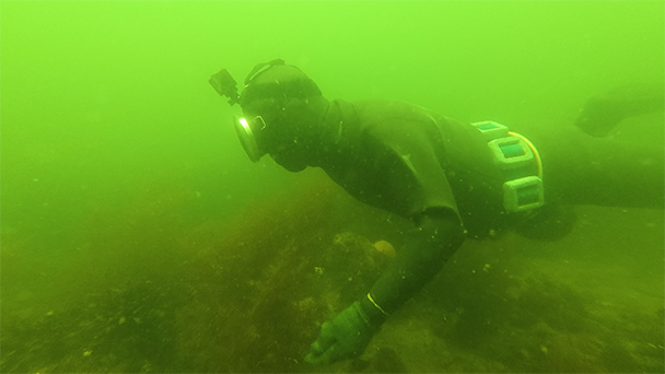 魚が食べたい！＃２３１　愛知県日間賀島日間賀漁港<br>（ミルクイ、ハビロ）