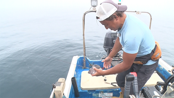魚が食べたい！－地魚さがして3000港－