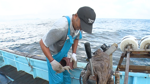 魚が食べたい！＃２３９　三重県神島漁港<br>（マダコ、アワビ）
